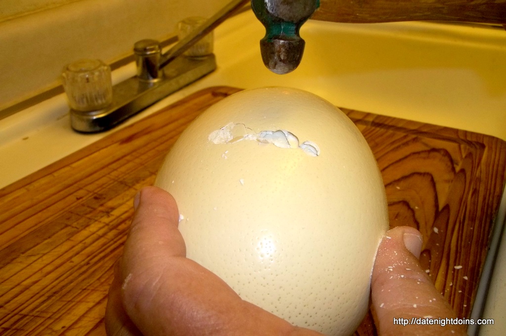 How to cook an Ostrich egg: Taste testing the ultimate omelette 