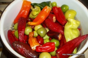 Read more about the article Sweep the Kitchen Hot Sauce